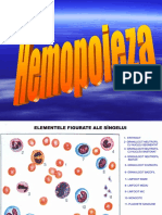 Hemopoieza (EMO 2012)