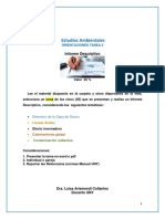 Orientaciones Tarea 2 - Informe Descriptivo