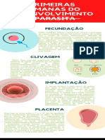 Verde Ilustração Borboleta Linha Do Tempo Infográfico (801 X 2000 PX)