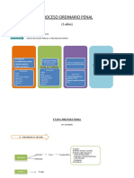 Proceso Ordinario penal Parte 1