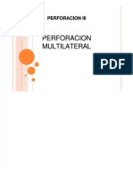 PDF 4 Perforacion Multilateralpdf DD