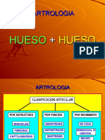 CLASIFICACION ARTICULAR