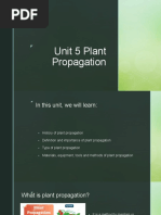 Plant Propagation Techniques | PDF | Grafting | Root
