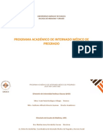Programa Academico MIP 2021