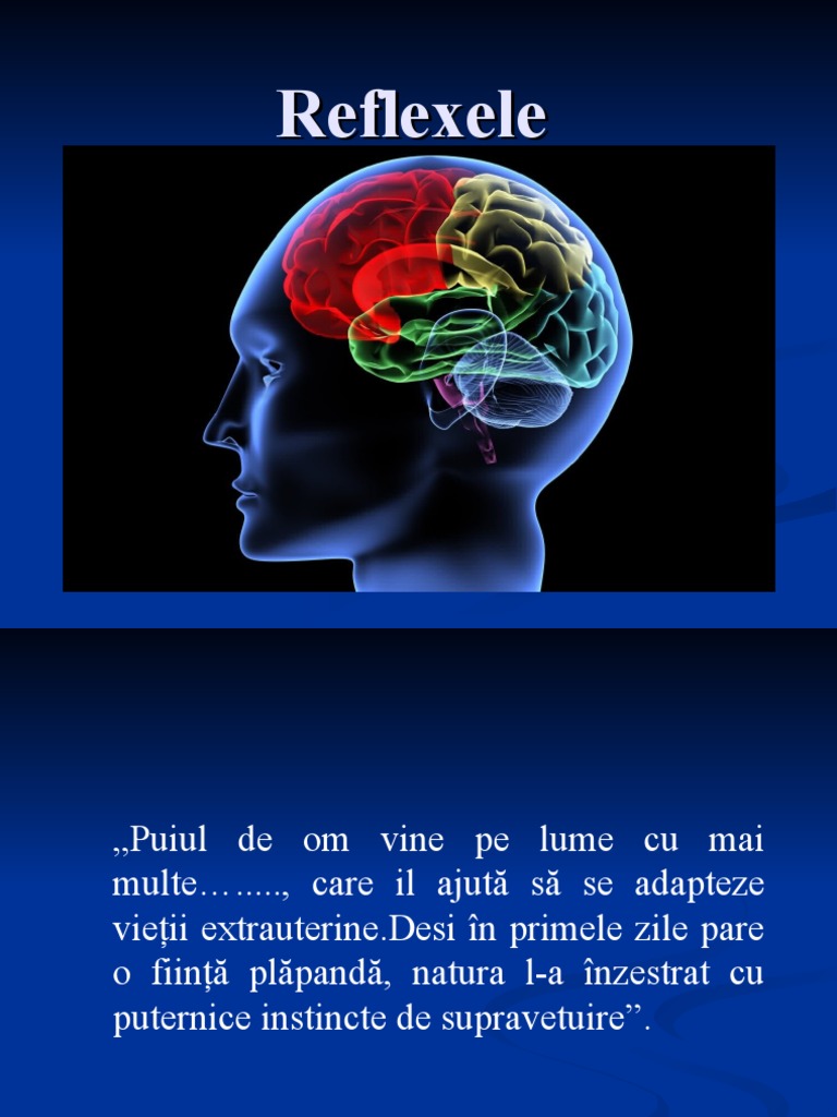 Reflexele | PDF