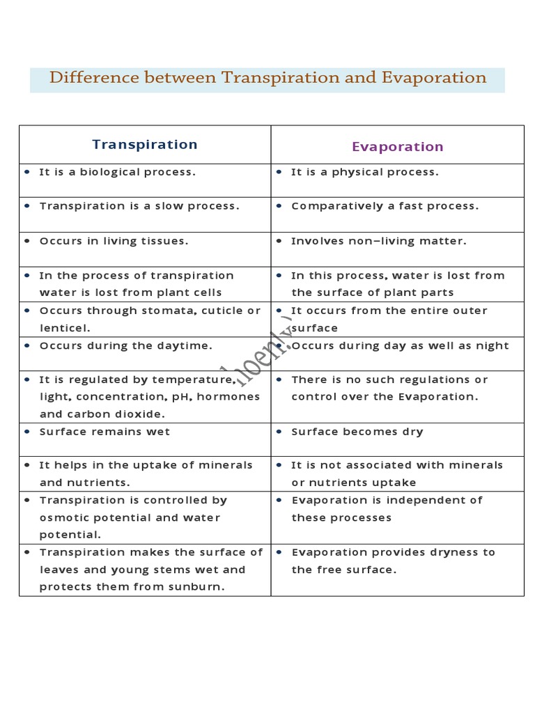 Difference Between Transpiration and Evaporation PDF
