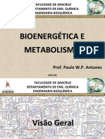 Aula - Biomoleculas - Parte 05 - Bioenergética e metabolismo