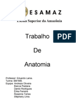 Trabalho de Anatomia - Resoluo de exerccios