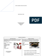 Cuadro Comparativo, Juanita Gutierrez Ardila