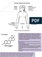 Biokimia Sistem Reproduksi Wanita, Laktasi, Plasenta