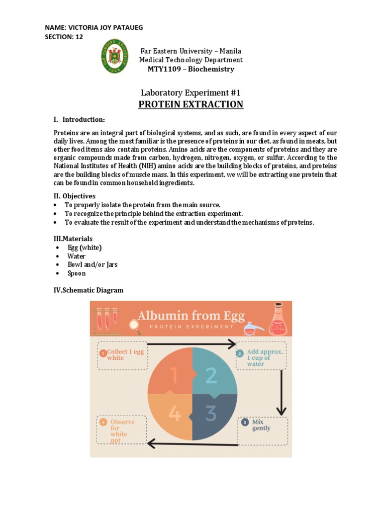 Protein Extraction Laboratory Experiment 1 PDF Proteins