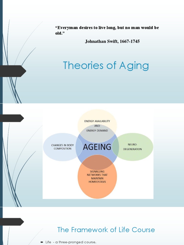 Theories of Aging | PDF | Cell (Biology) | Ageing