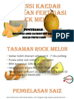 SLOT 1 ROCK MELON