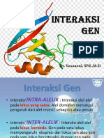 Interaksi Gen New