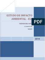 Estudo de Impacto Ambiental para Fazenda Bela Vista em Sacramento/MG