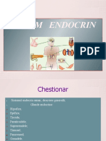 Sistem Endocrin