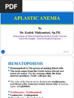 Aplastic Anemia (Dr. Kadek)