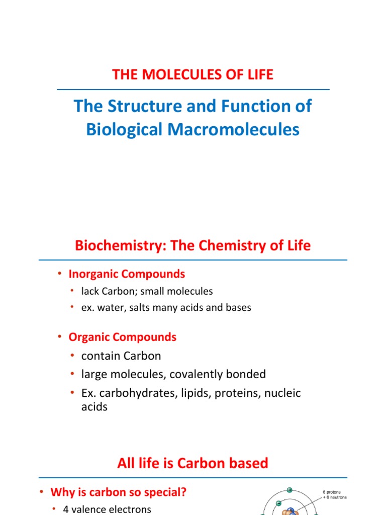 Lecture 3 Structure and Function of Biological Molecules PDF Fat