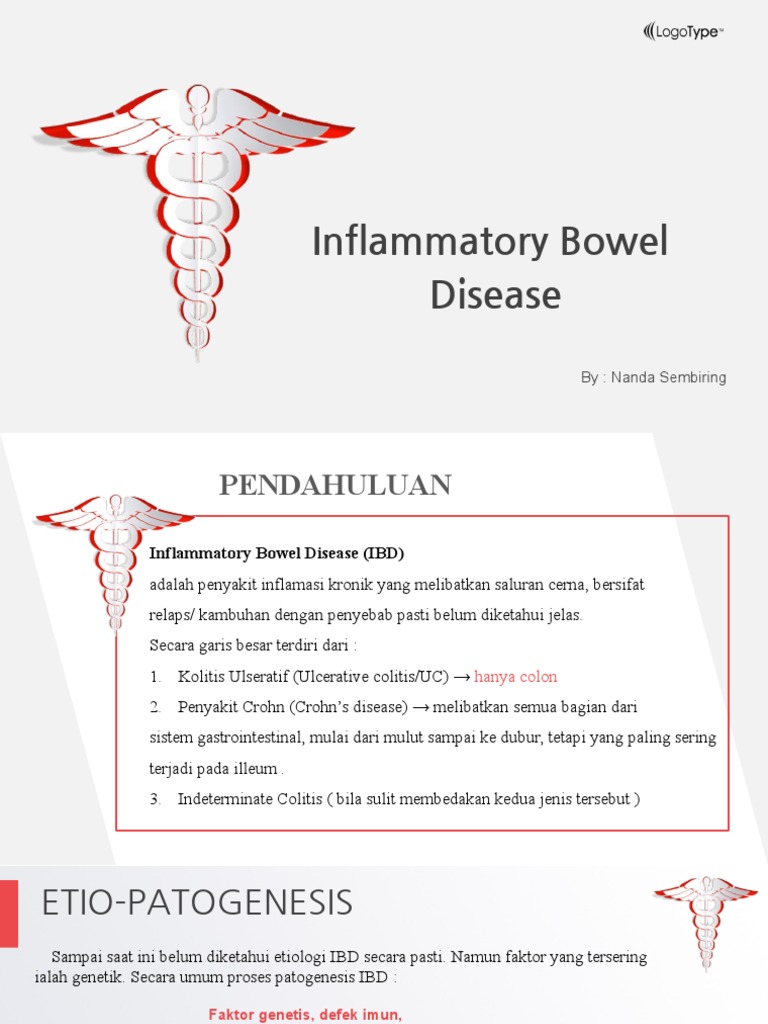 Interna IBD | PDF