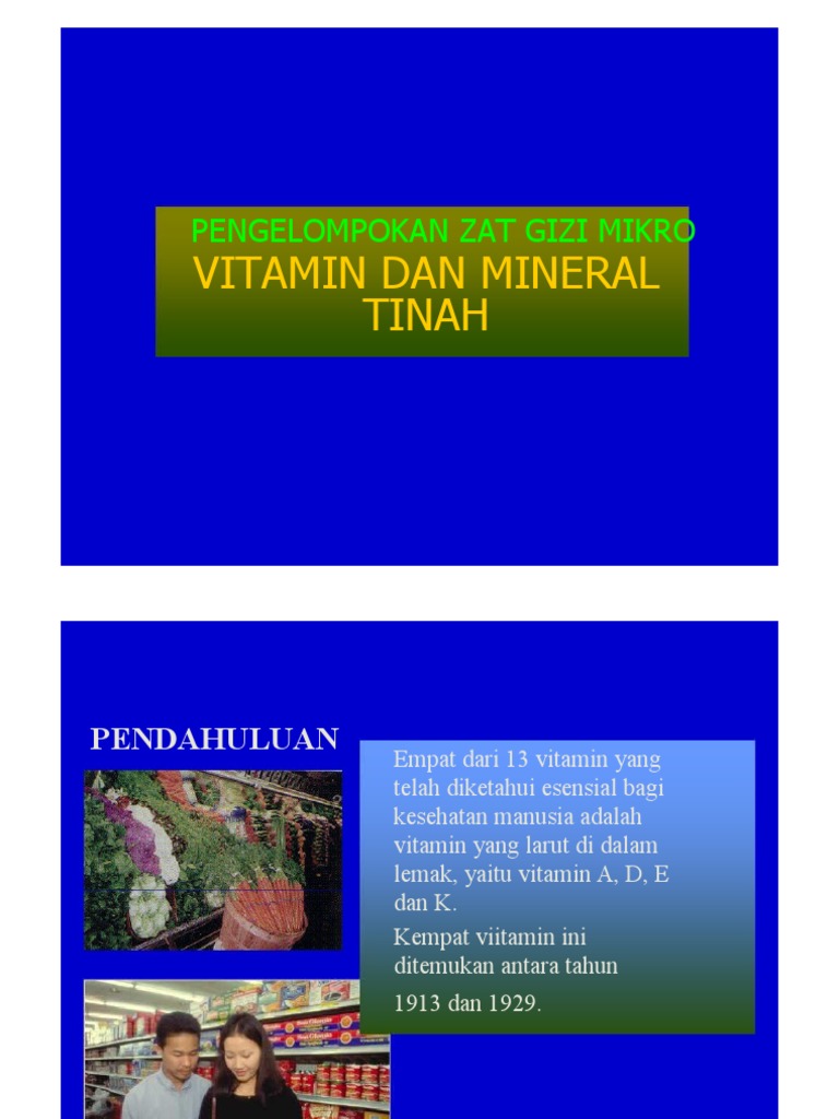 Kebutuhan Vitamin Dan Mineral PDF