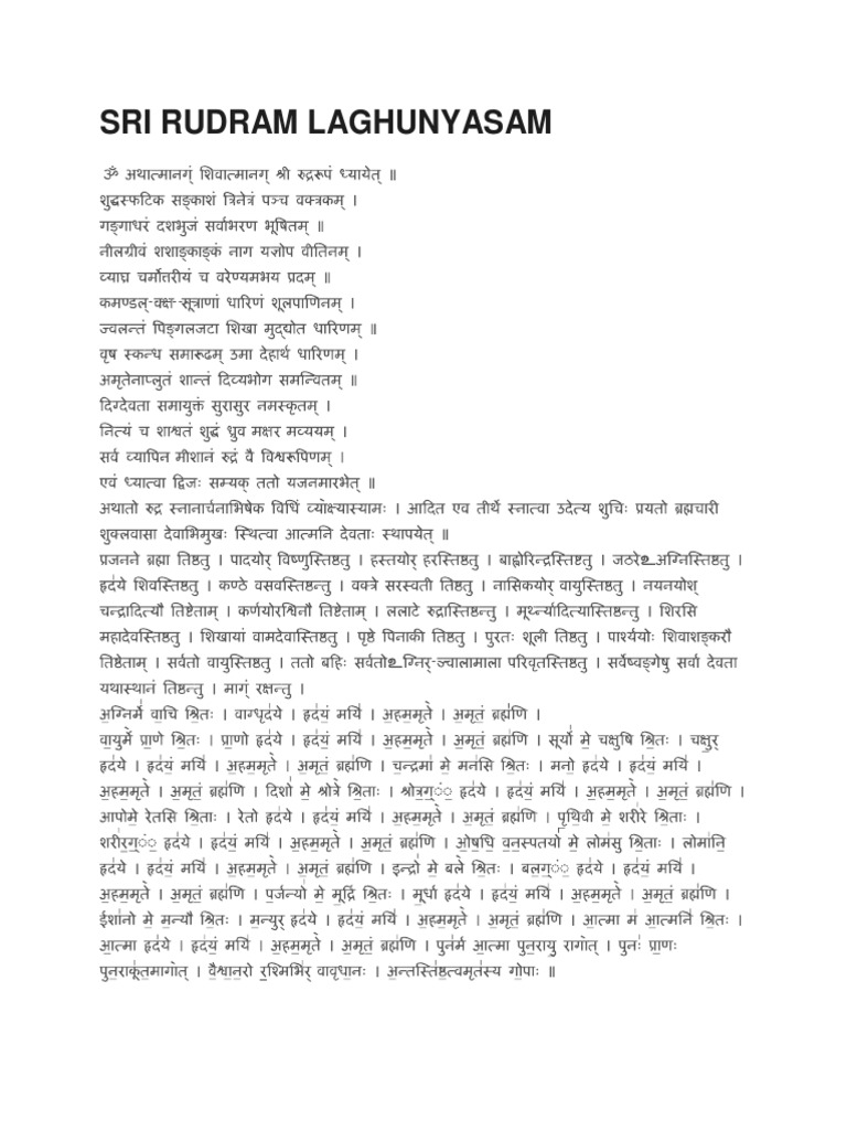 Sri Rudram Laghunyasam PDF | PDF