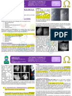 09-C-21-03- PATOLOGIA QUIRÚRGICA DE LA MAMA