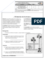 Guía 15 Y 16 II PERIODO 2021