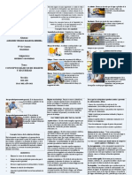 AlejandroBarahona Trifolio ConceptosBasicosHS