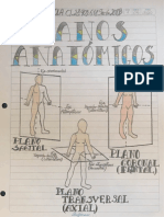 Actividad de Laboratorio Anatomia (Dibujos) 