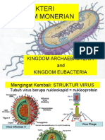 MONERA, Archaeobacteria & Eubacteria (P Gun)