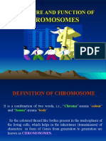 CoreSub Bio Att 47chromosomes