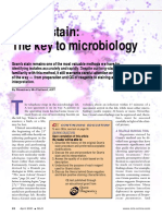 Gram's Stain: The Key To Microbiology