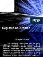 Registro Neutrónico