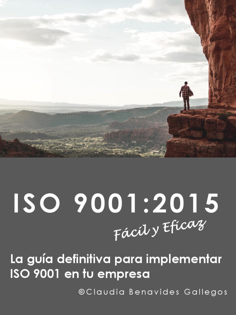ISO 9001 2015 Facil y Eficaz - 2020 La Guía Capitulo 1 | PDF | Sistema ...
