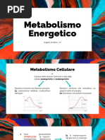 METABOLISMO ENERGETICO