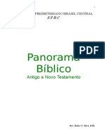 Panaroma Biblico Antigo e Novo Testamento - Hélio O. Silva