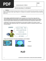 Cs. Naturales 5°básico Guía de Aprendizaje N°1, La Hidrosfera.