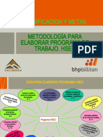 Programa HSEC