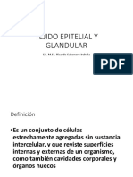 Tejido Epitelial PDF