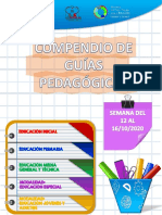 Encartado Pedagogico Cojedes 005