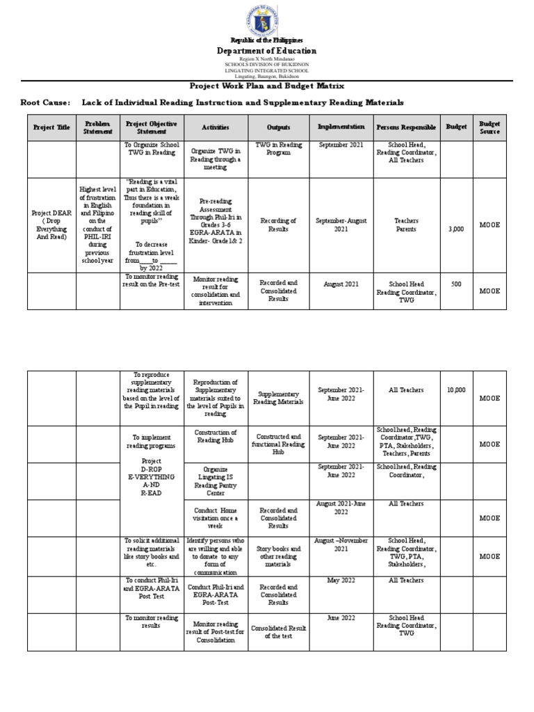 Project Work Plan & Budget Matrix for Reading | PDF | Cognition