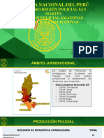PNP Amazonas reporte estadístico 2021