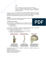 Articulação