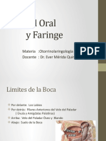 Cavidad Oral y Faringe OTORRINO-EMQ