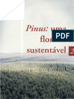 02_Pinus_uma_floresta_sustentavel
