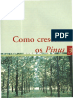 As propriedades da madeira de Pinus e sua adequação para uso