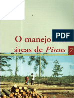 07 O Manejo Das Areas de Pinus