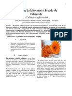 Informe Secado de Calendula..