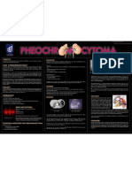 Pheochromocytoma Poster FINAL