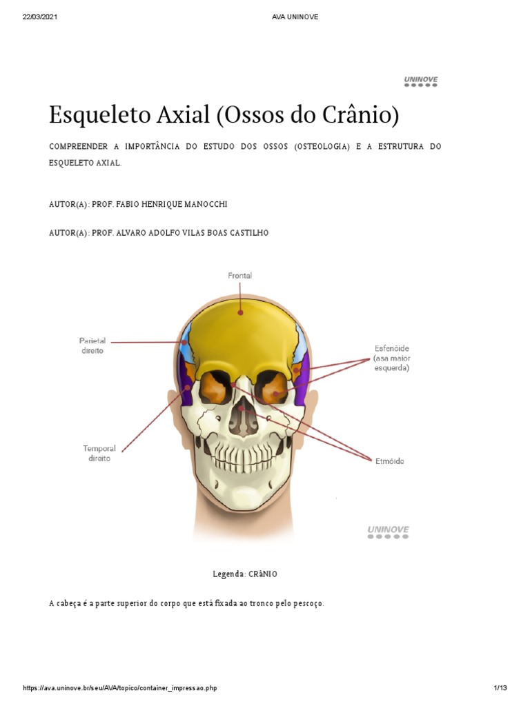 Ossos Do Crânio E Esqueleto Axial Pdf Crânio Sistema Esquelético